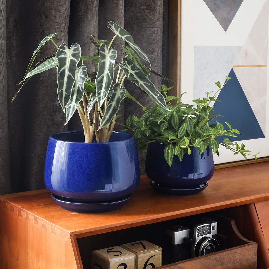 Ceramic Planter Set
