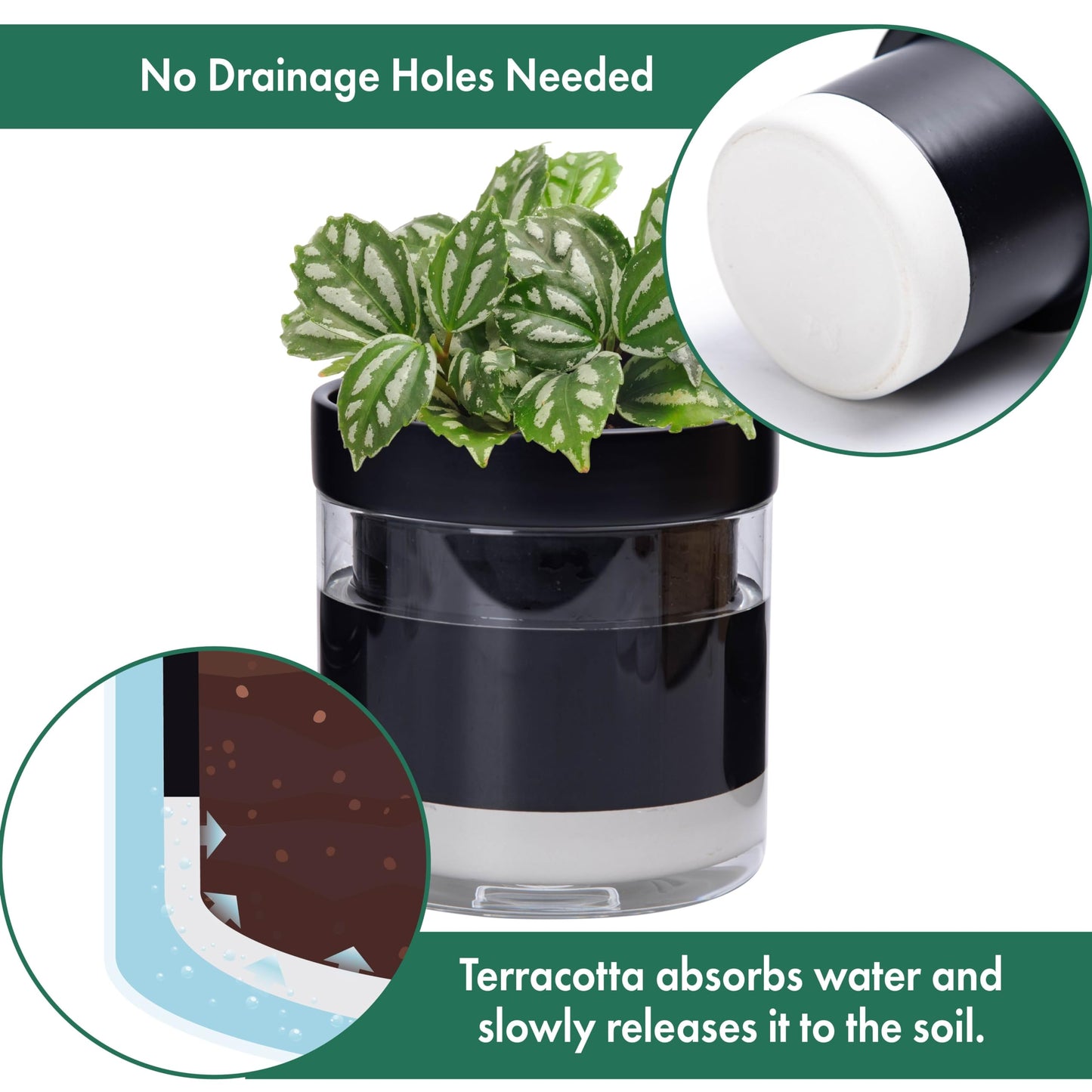 Self Watering Planter Pot Terracotta and Glass