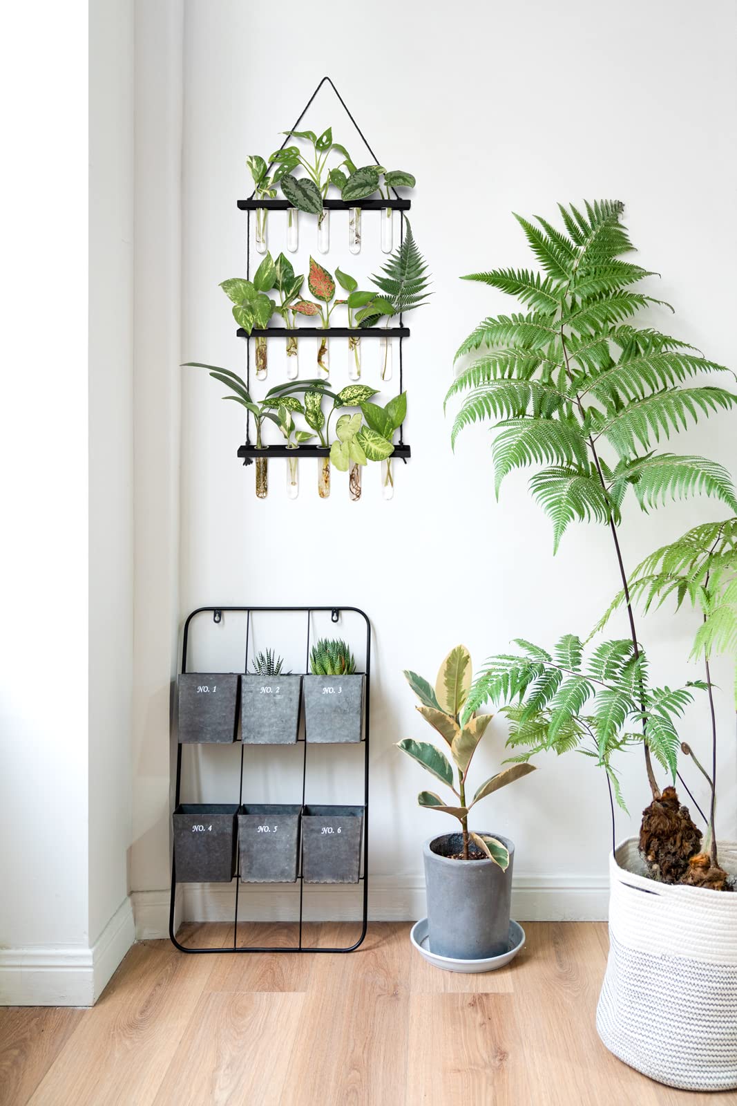 Wall Hanging Plant Propagation Station