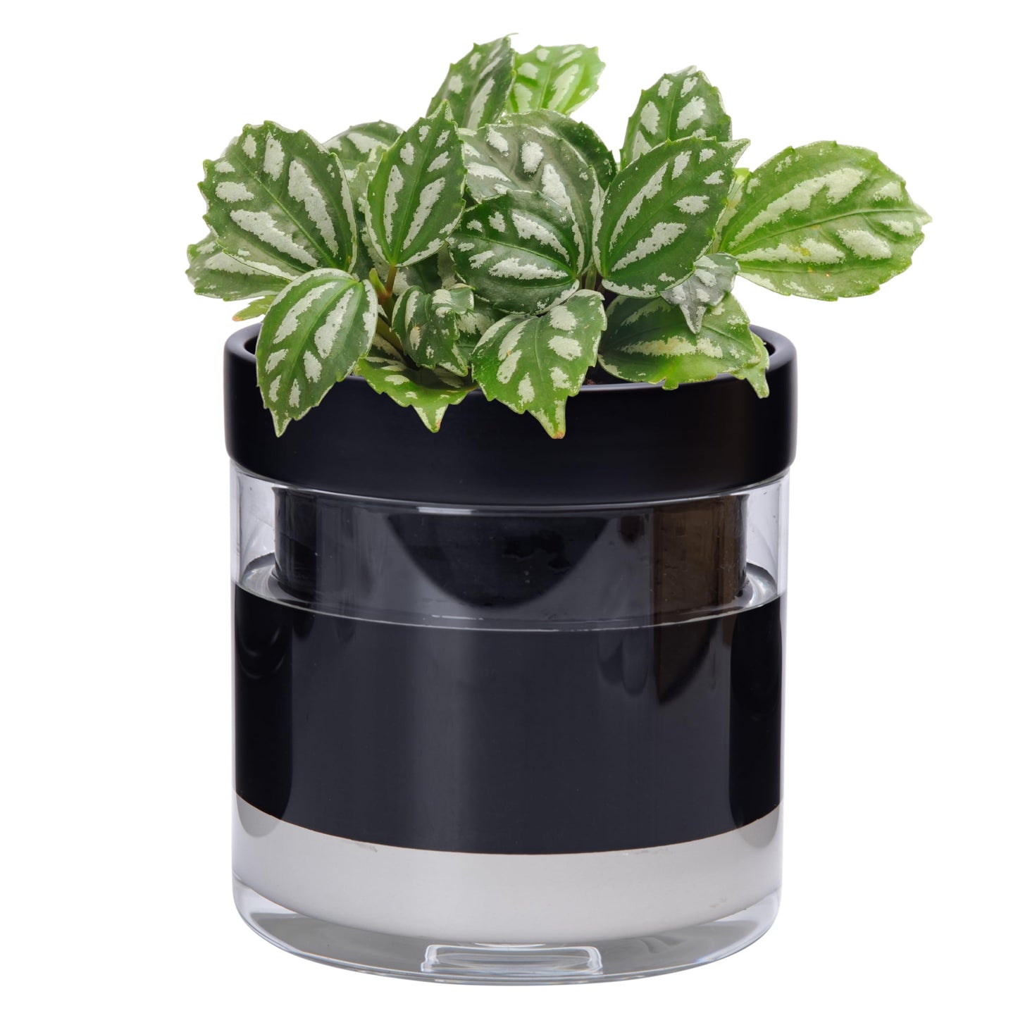 Self Watering Planter Pot Terracotta and Glass