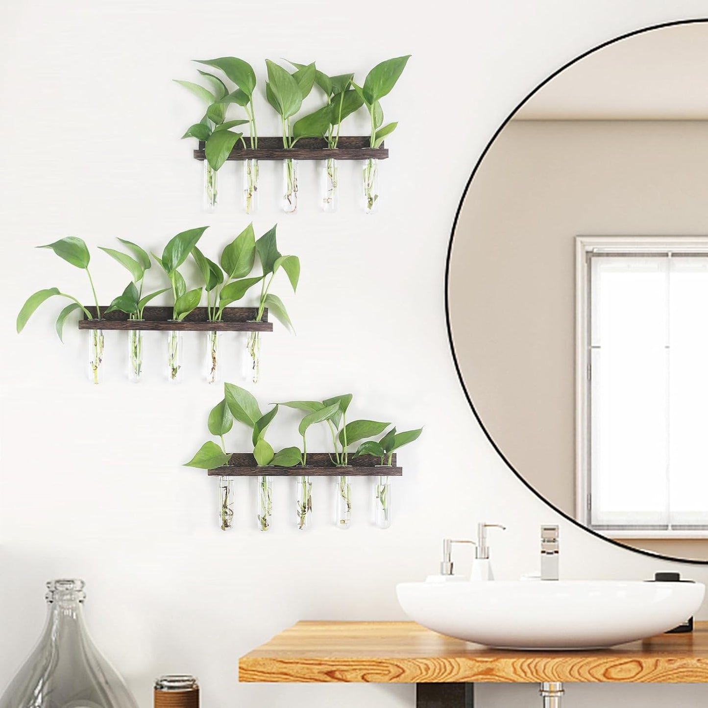 Plant Propagation Station - SET OF 3