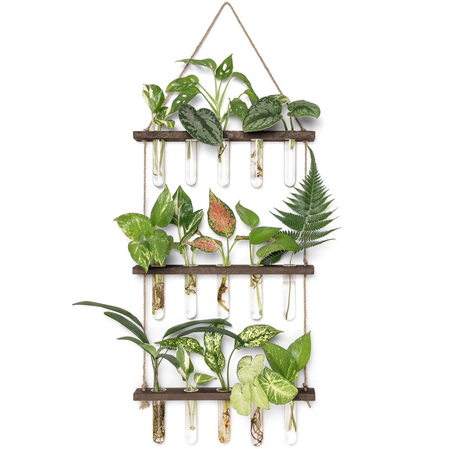 Wall Hanging Plant Propagation Station