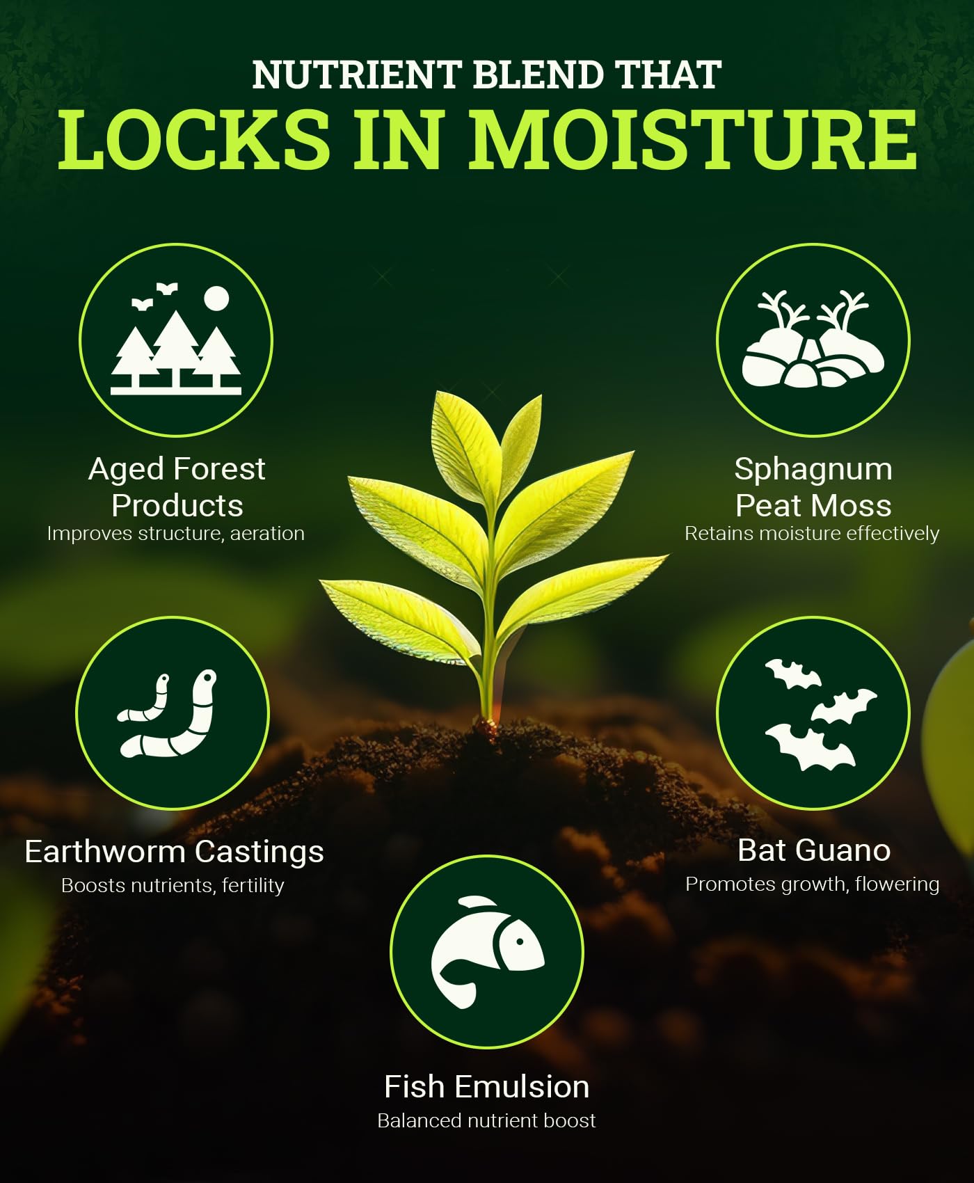 FoxFarm Ocean Forest Potting Soil