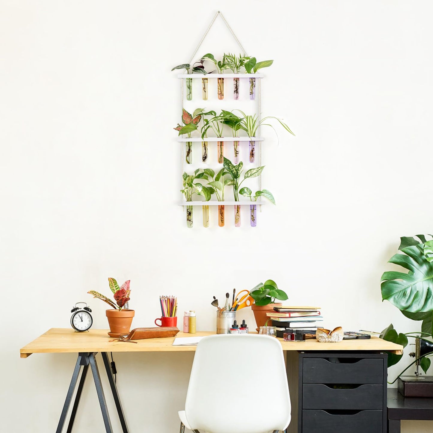 Wall Hanging Plant Propagation Station