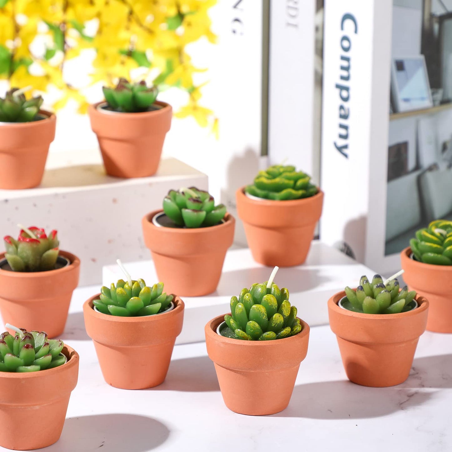 Succulent Cactus 18ea Tealight Candles
