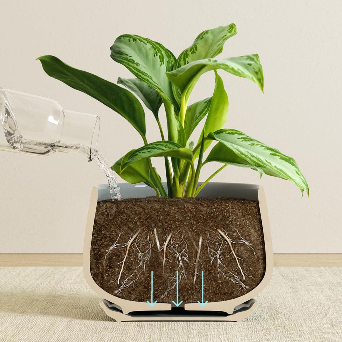 Ceramic Planter Set