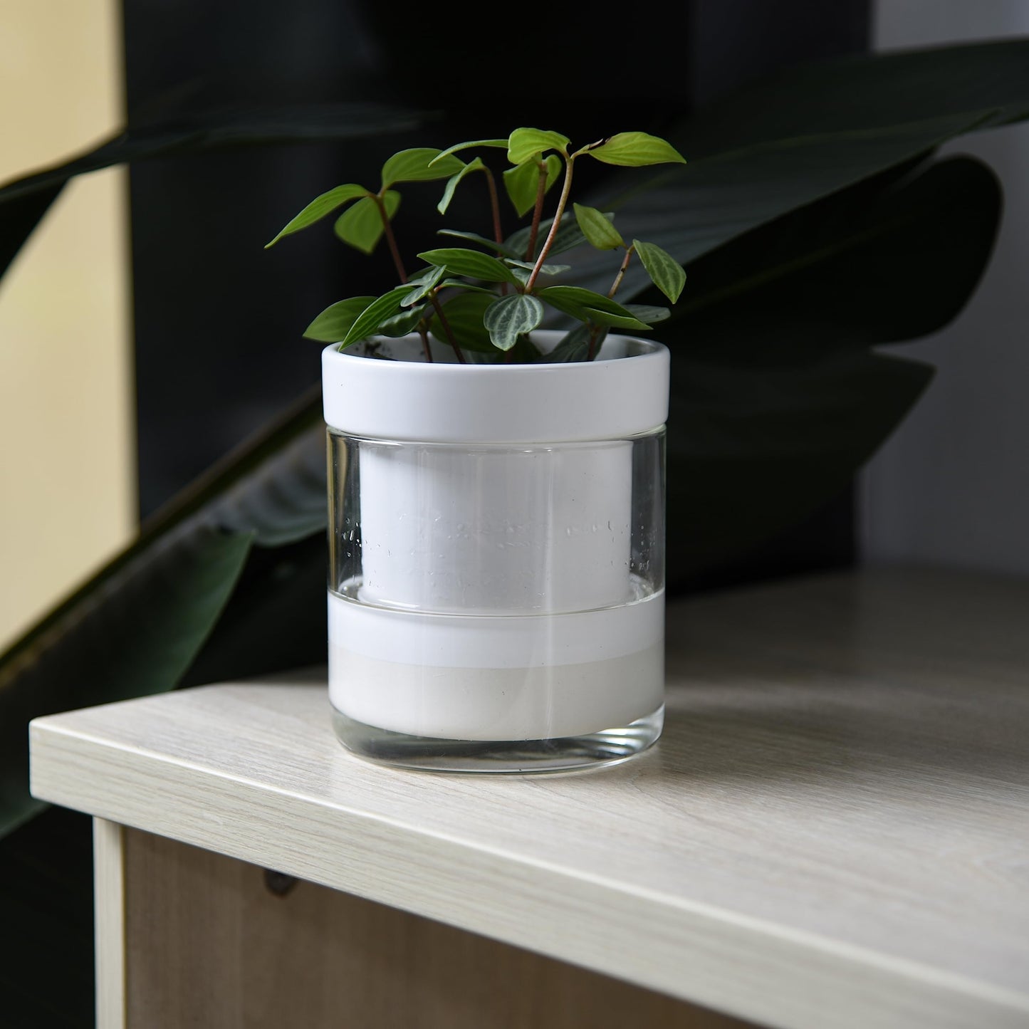 Self Watering Planter Pot Terracotta and Glass