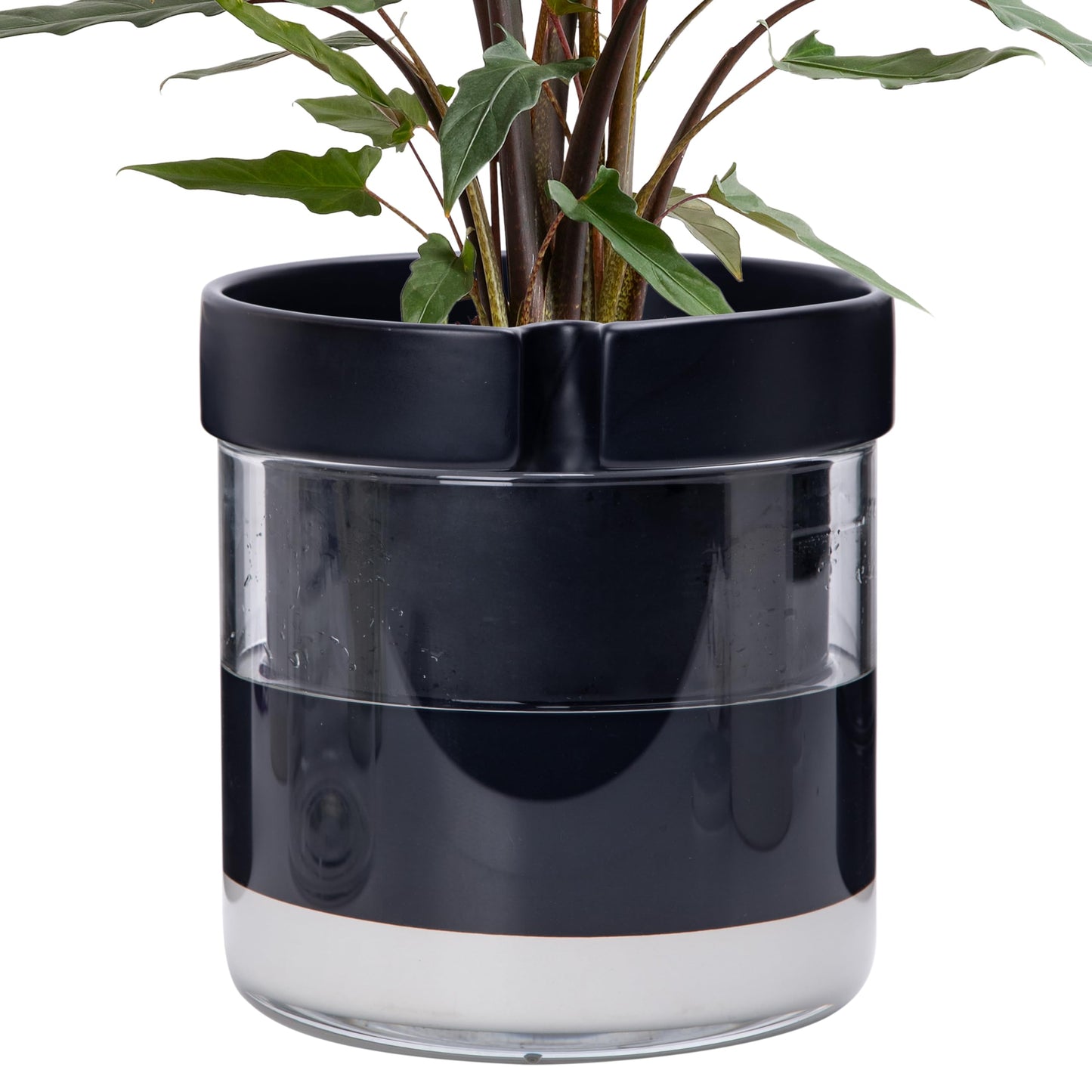Self Watering Planter Pot Terracotta and Glass