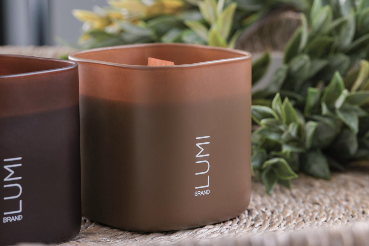 Scented Soy Candles Gift Set | Nature's Bloom Collection | 3 Scented Candles