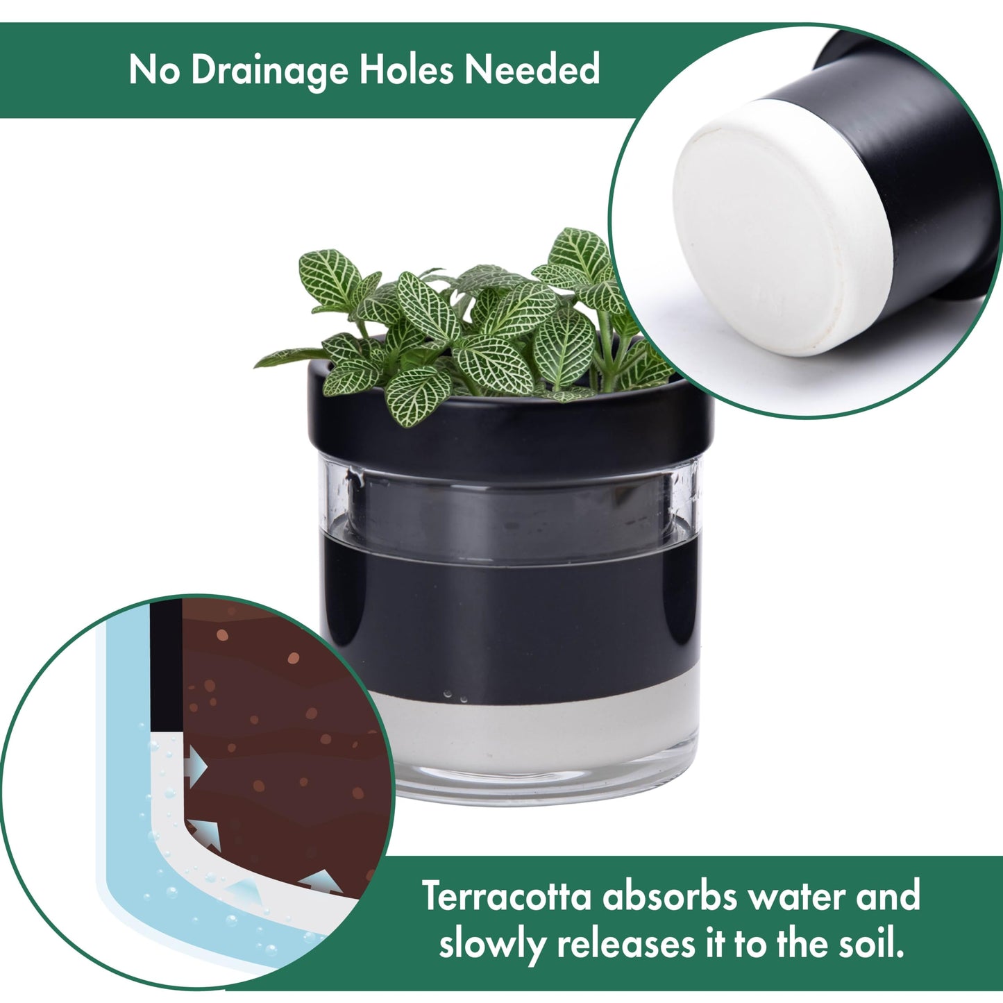 Self Watering Planter Pot Terracotta and Glass