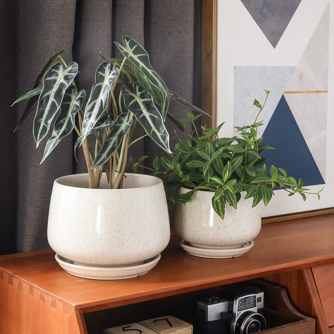 Ceramic Planter Set
