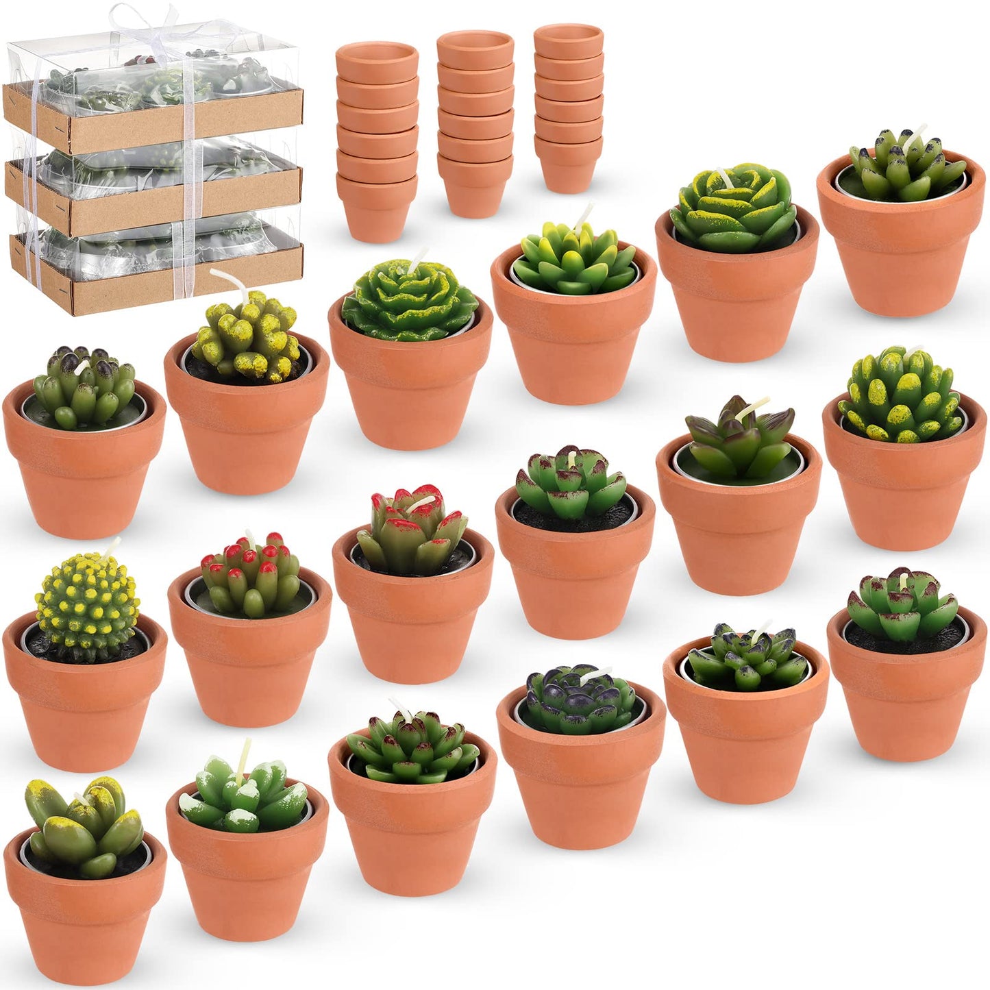 Succulent Cactus 18ea Tealight Candles