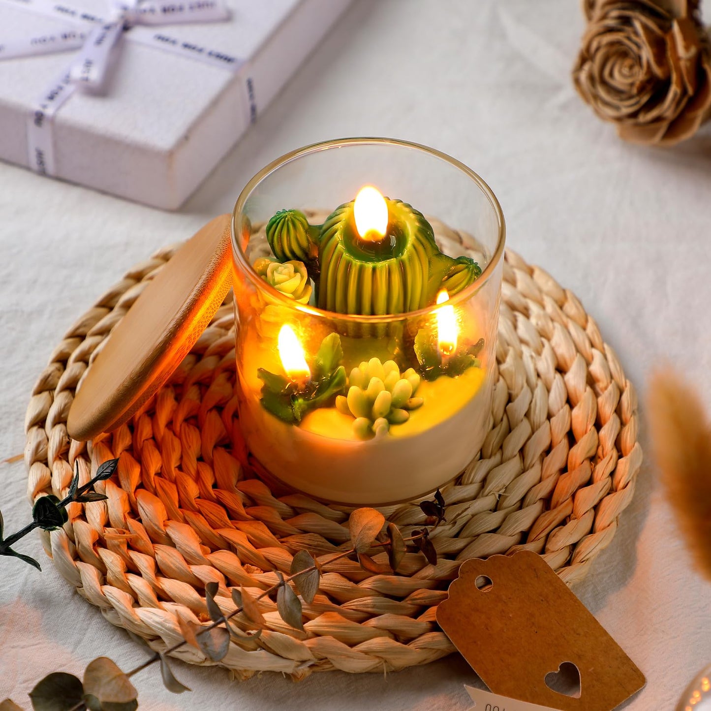 Cactus Terrarium Plant Candle