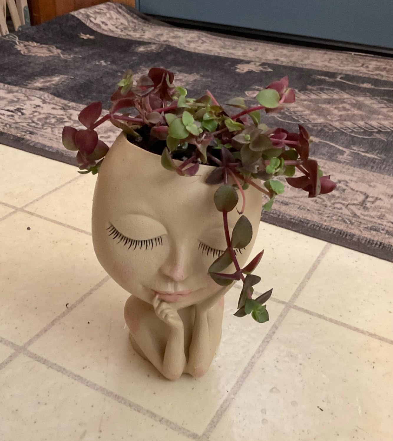 4" Trailing Succulents