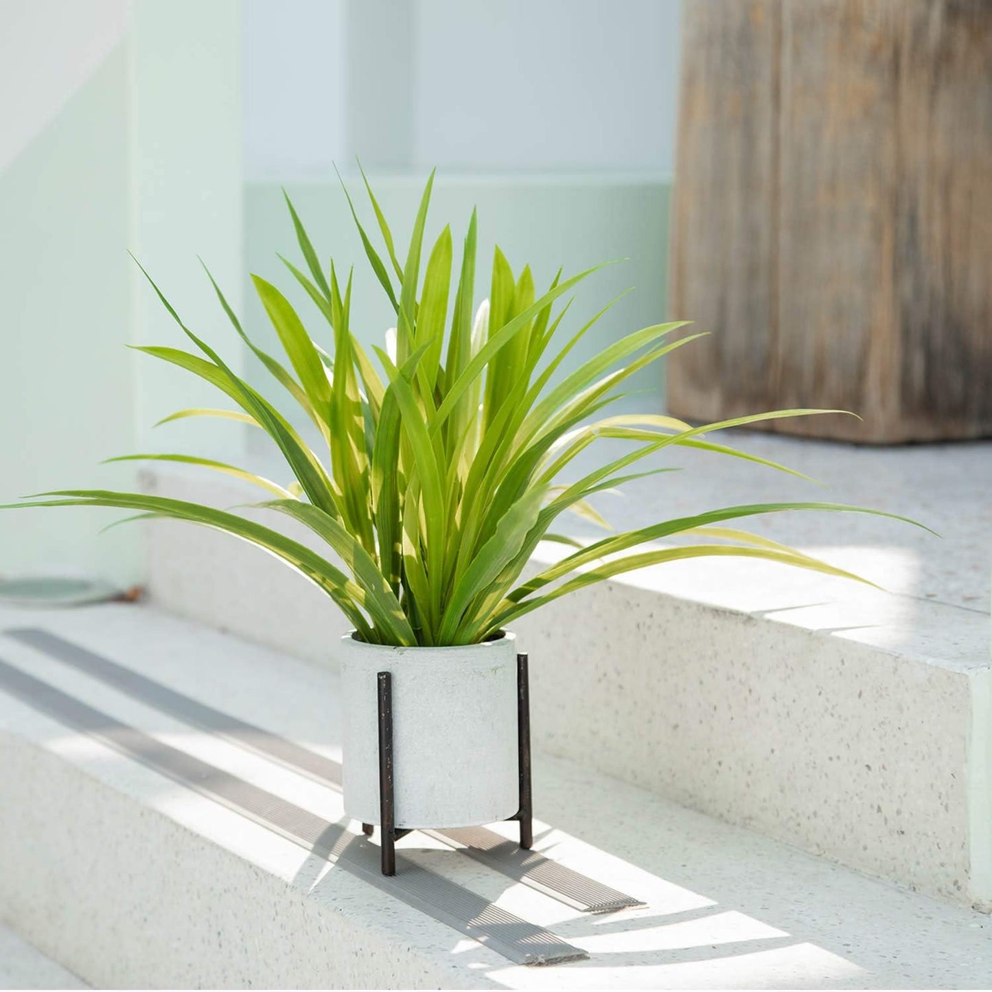 Artificial Spider Plant in Plant Stand