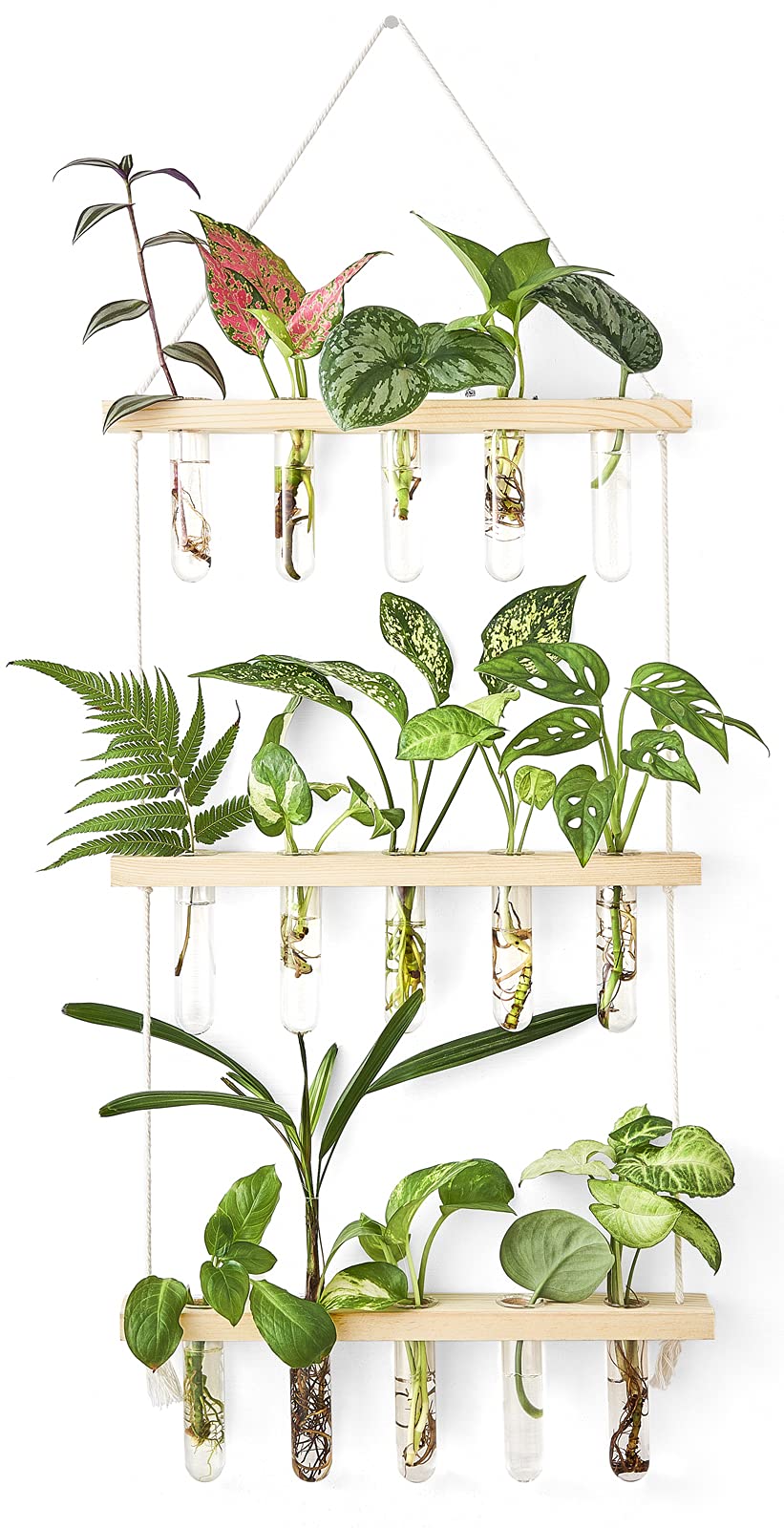 Wall Hanging Plant Propagation Station