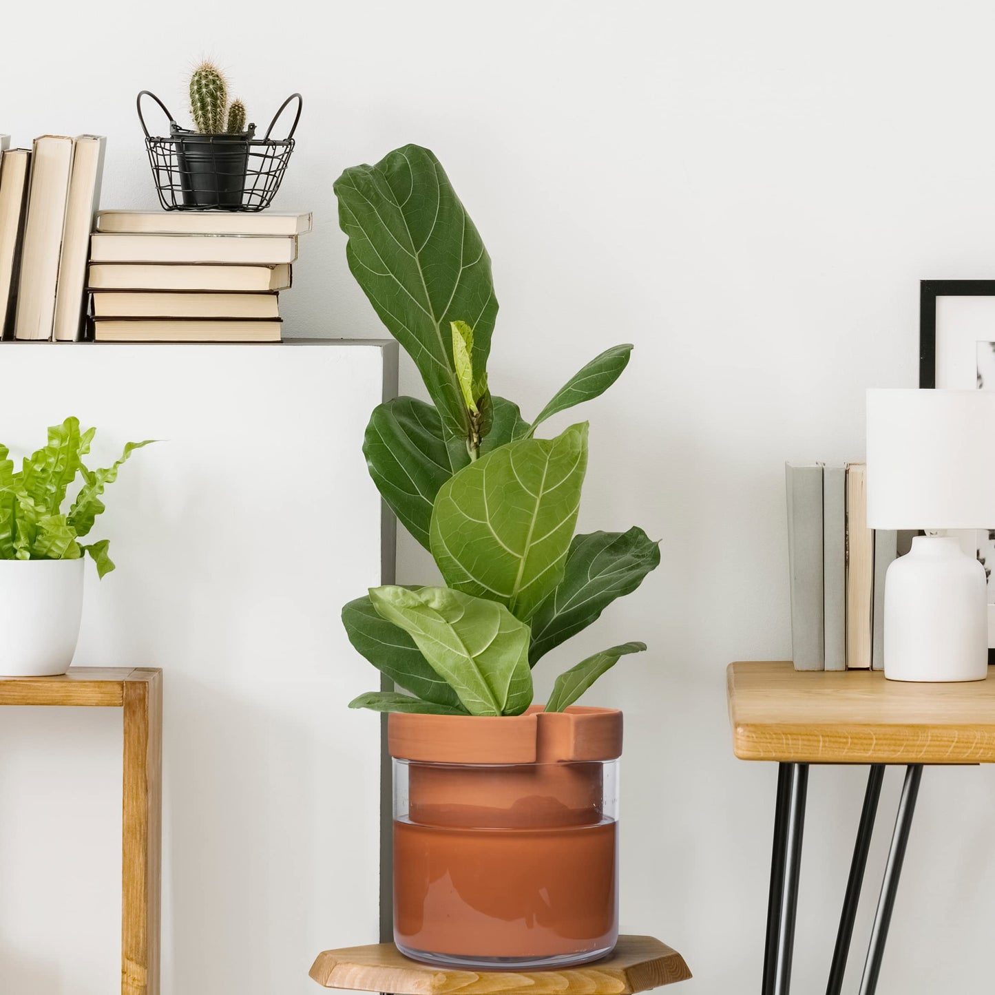Self Watering Planter Pot Terracotta and Glass