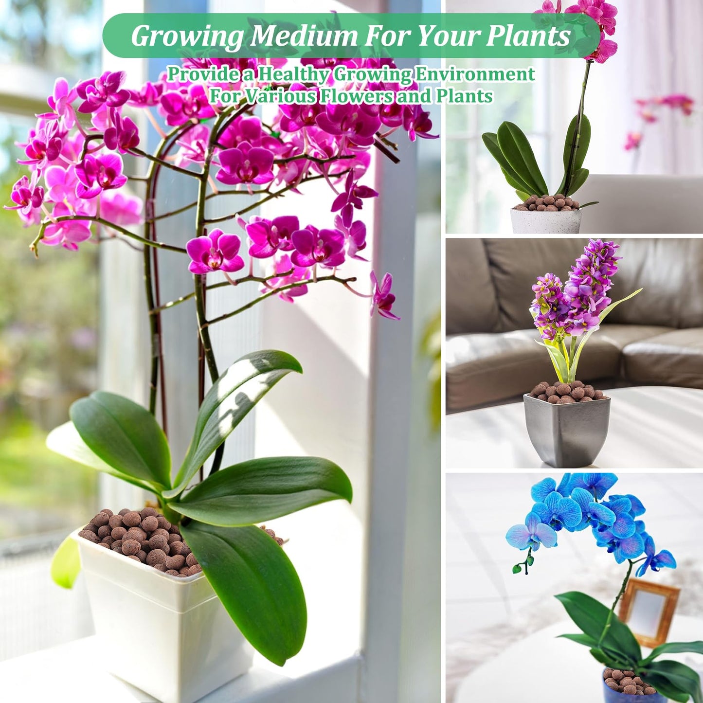 Organic Expanded Clay Pebbles for Plants | Leca