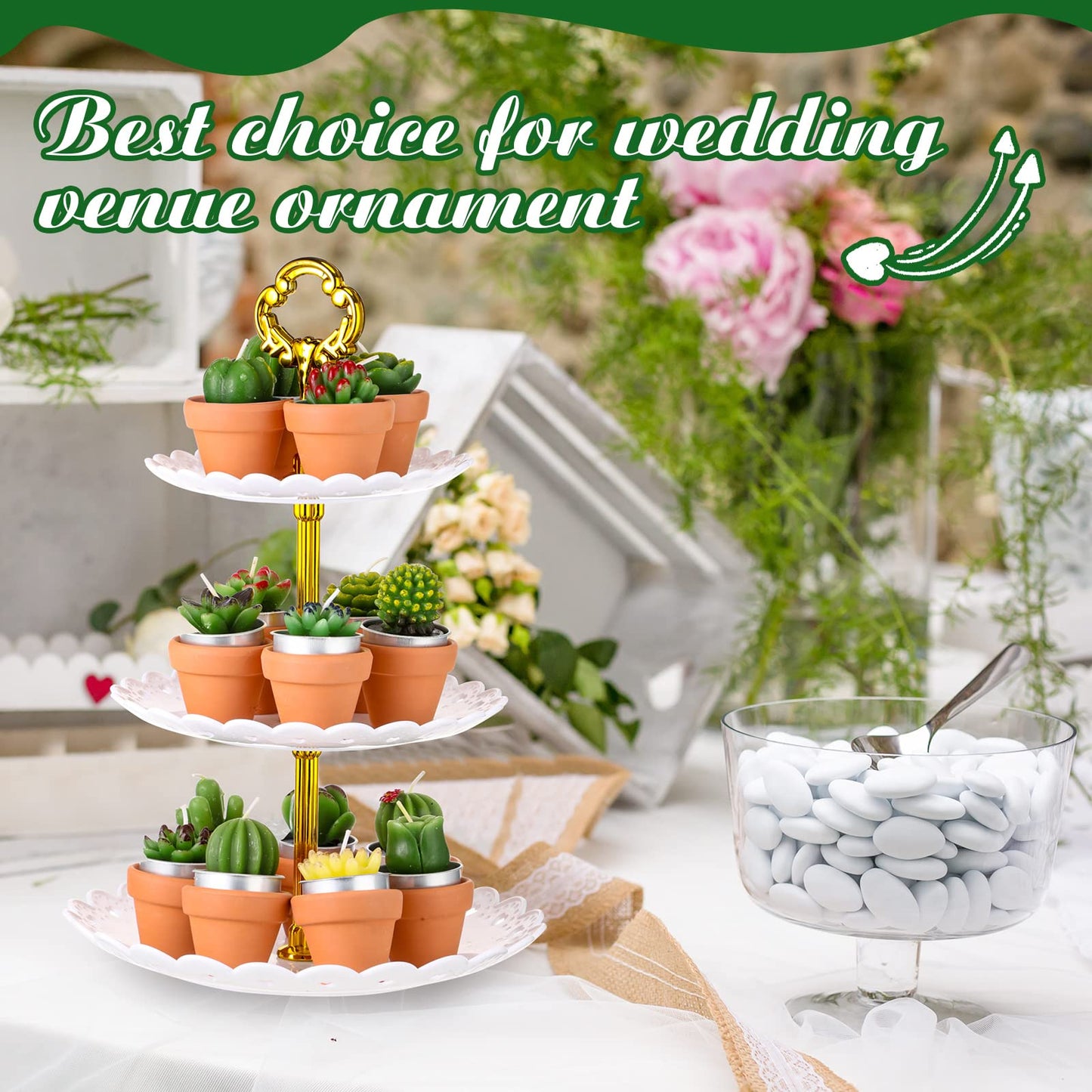 Succulent Cactus 18ea Tealight Candles