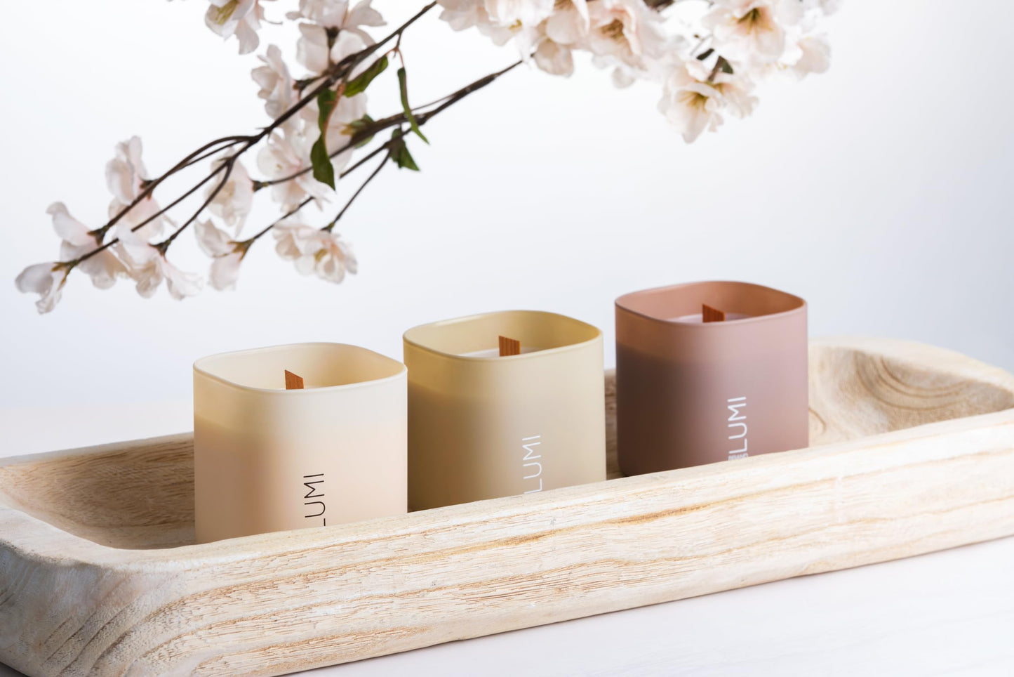 Scented Soy Candles Gift Set | Nature's Bloom Collection | 3 Scented Candles