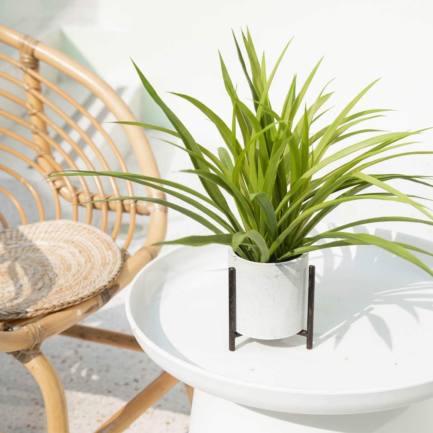 Artificial Spider Plant in Plant Stand