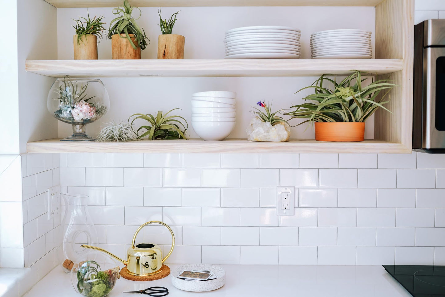 Double Hook Terrariums with Air Plants (Set 3)