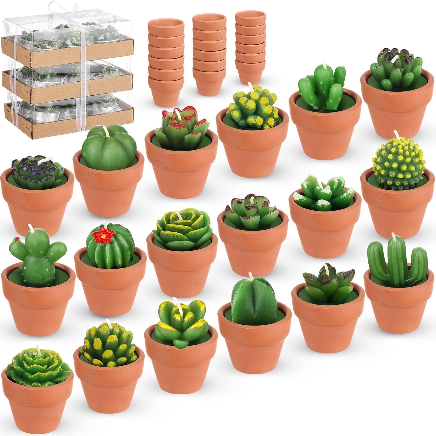 Succulent Cactus 18ea Tealight Candles