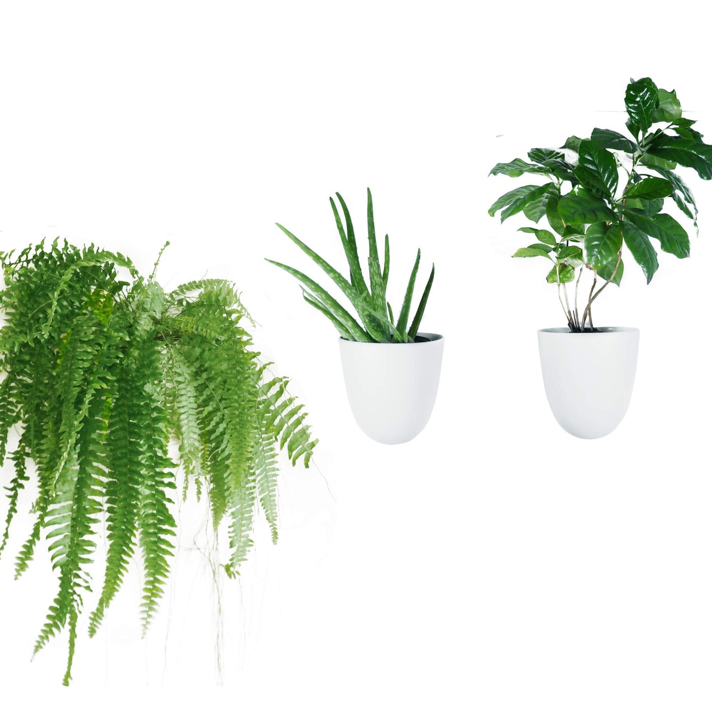 Self-Watering Wall Planter Set