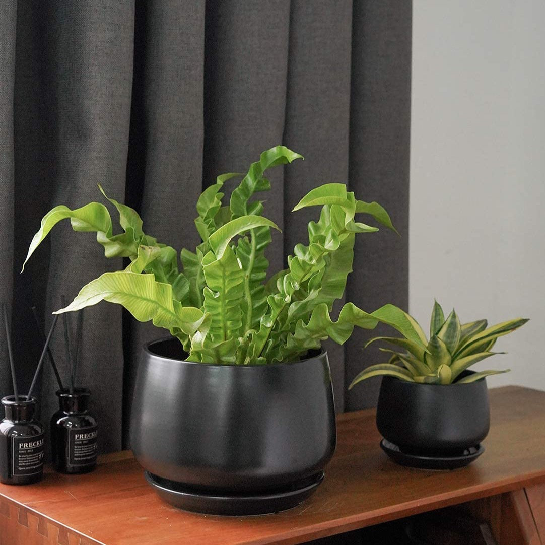 Ceramic Planter Set