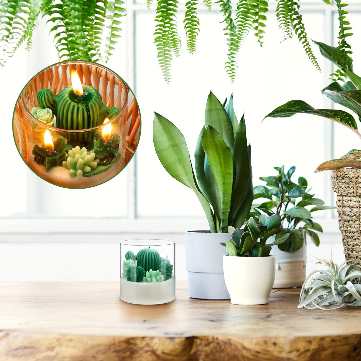 Cactus Terrarium Plant Candle