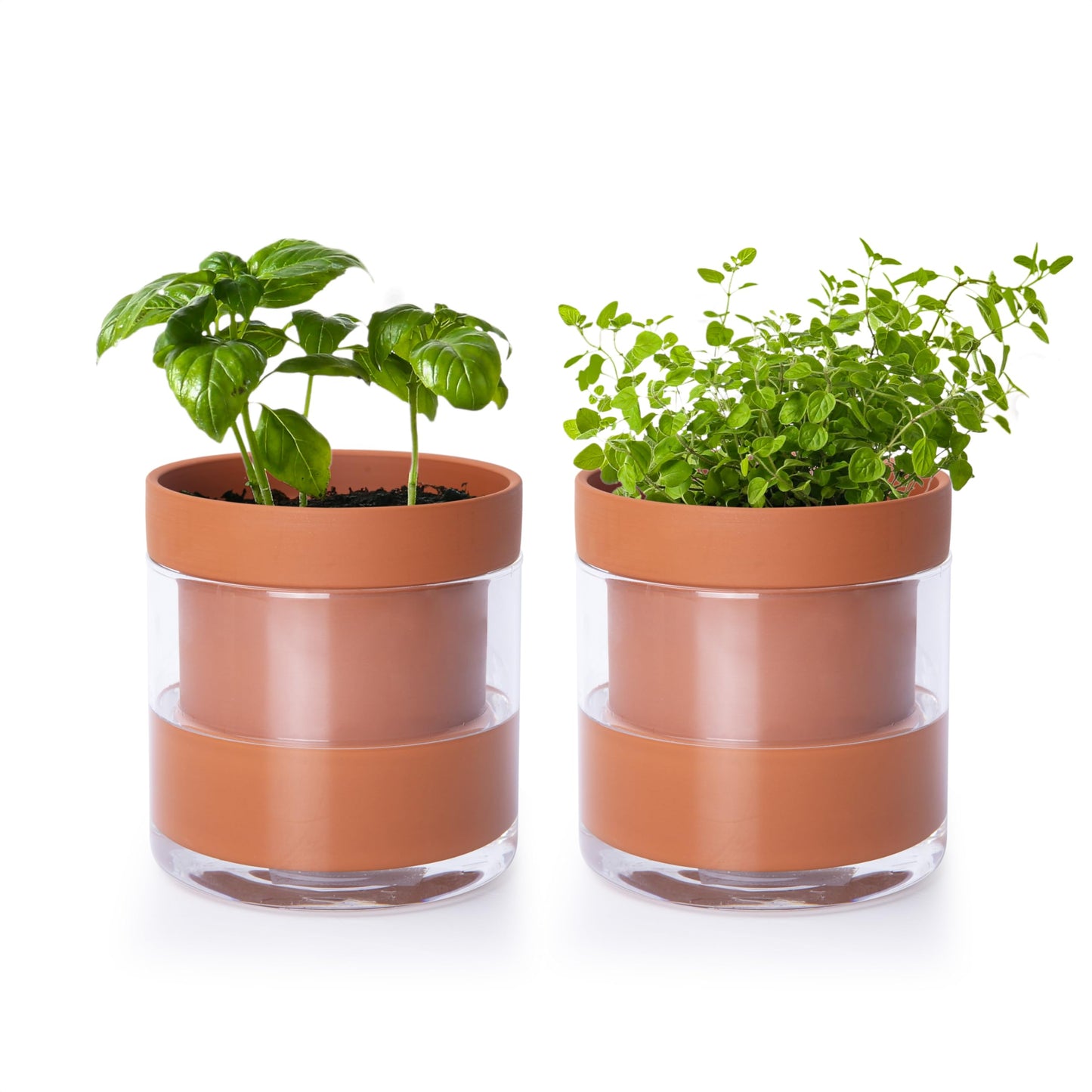 Self Watering Planter Pot Terracotta and Glass