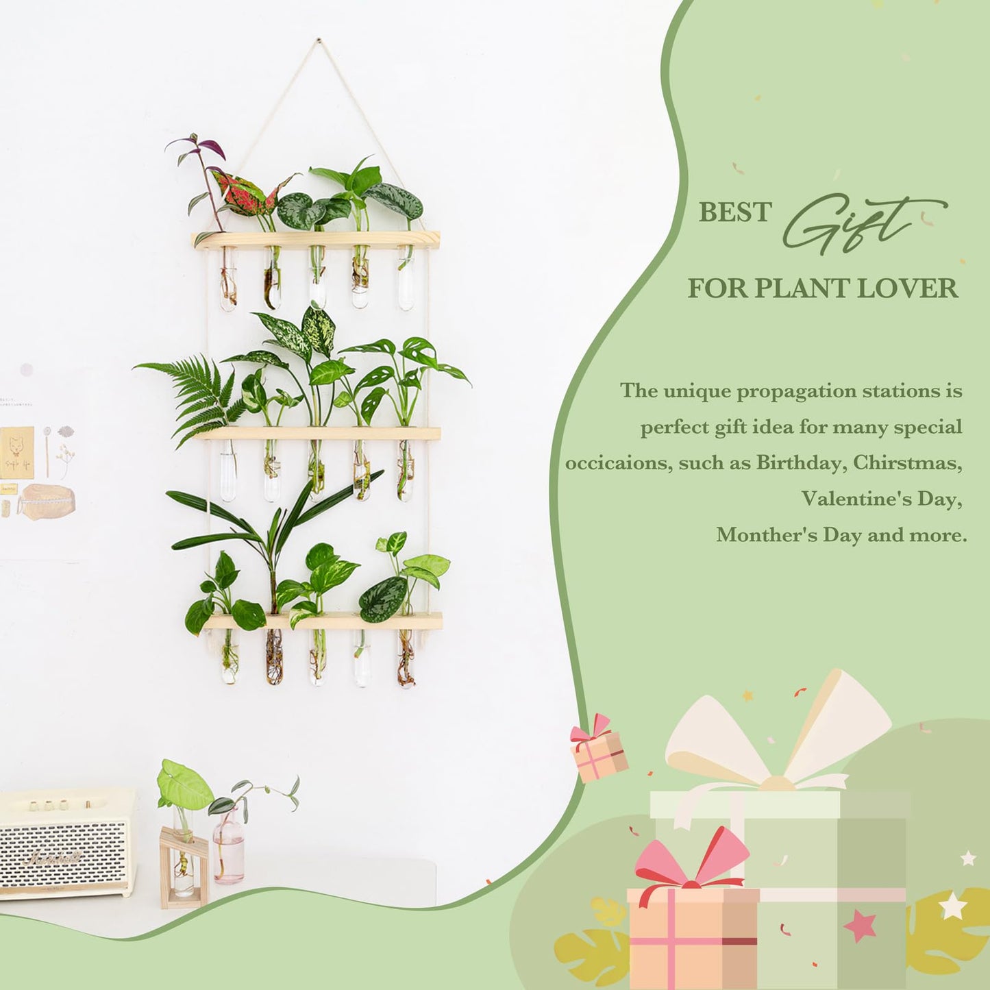 Wall Hanging Plant Propagation Station