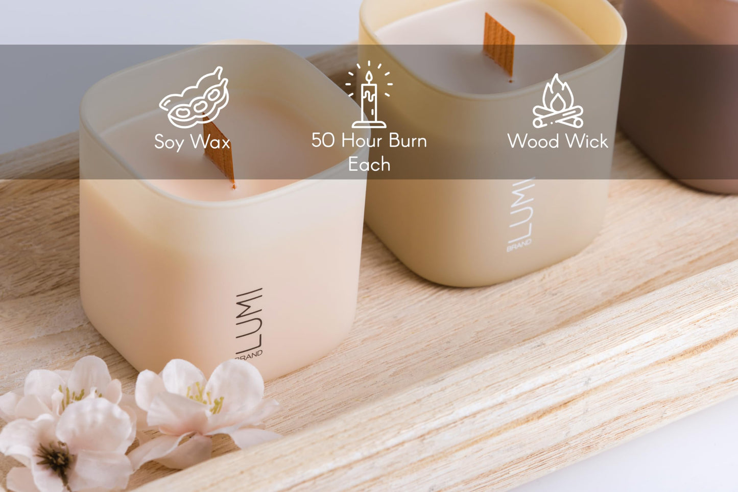 Scented Soy Candles Gift Set | Nature's Bloom Collection | 3 Scented Candles