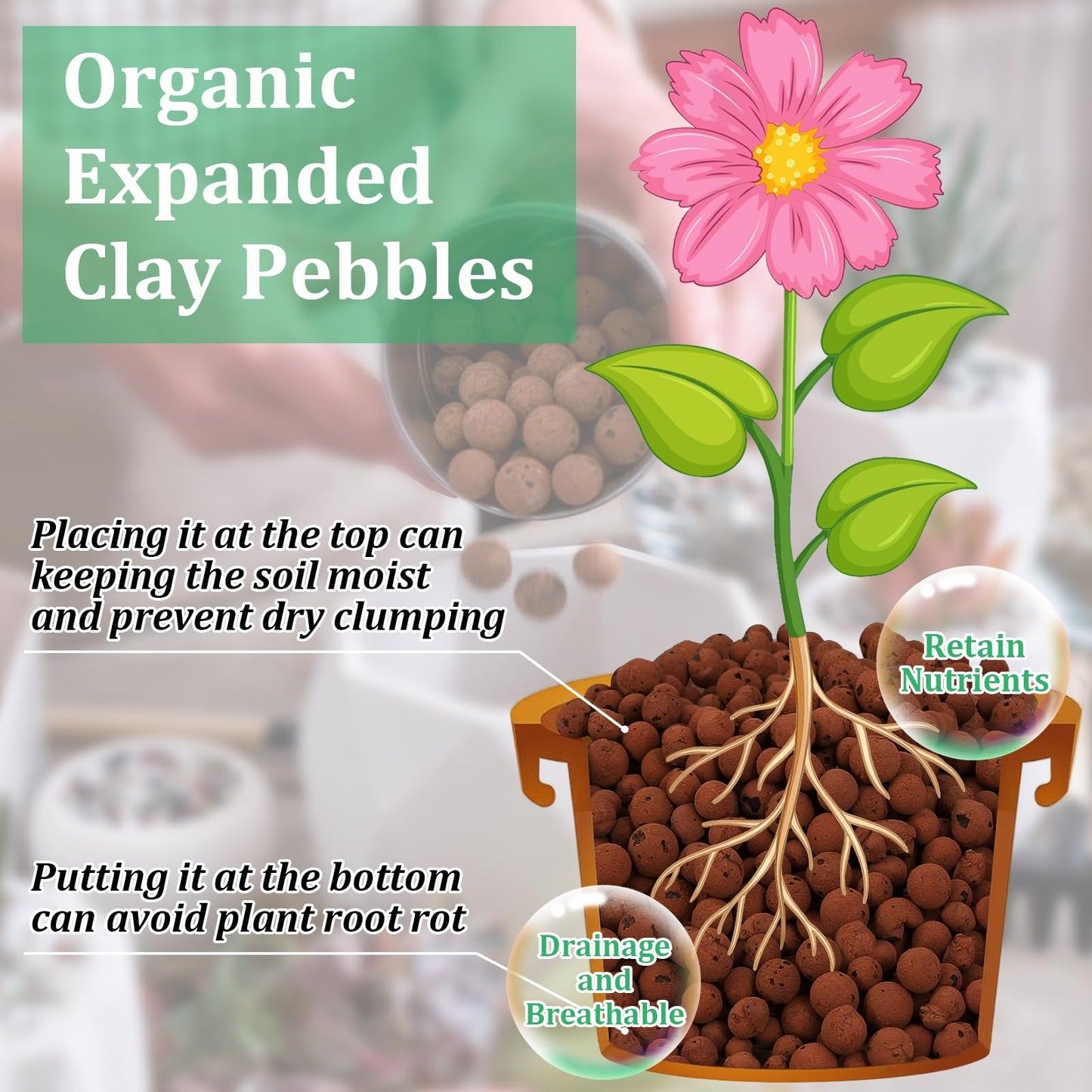 Organic Expanded Clay Pebbles for Plants | Leca