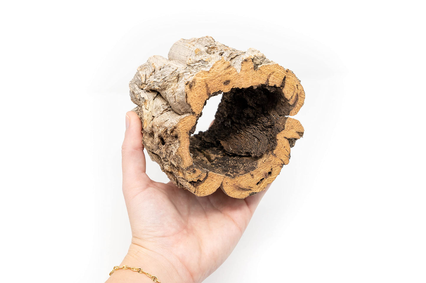 Cork Bark Planter with Small Air Plant