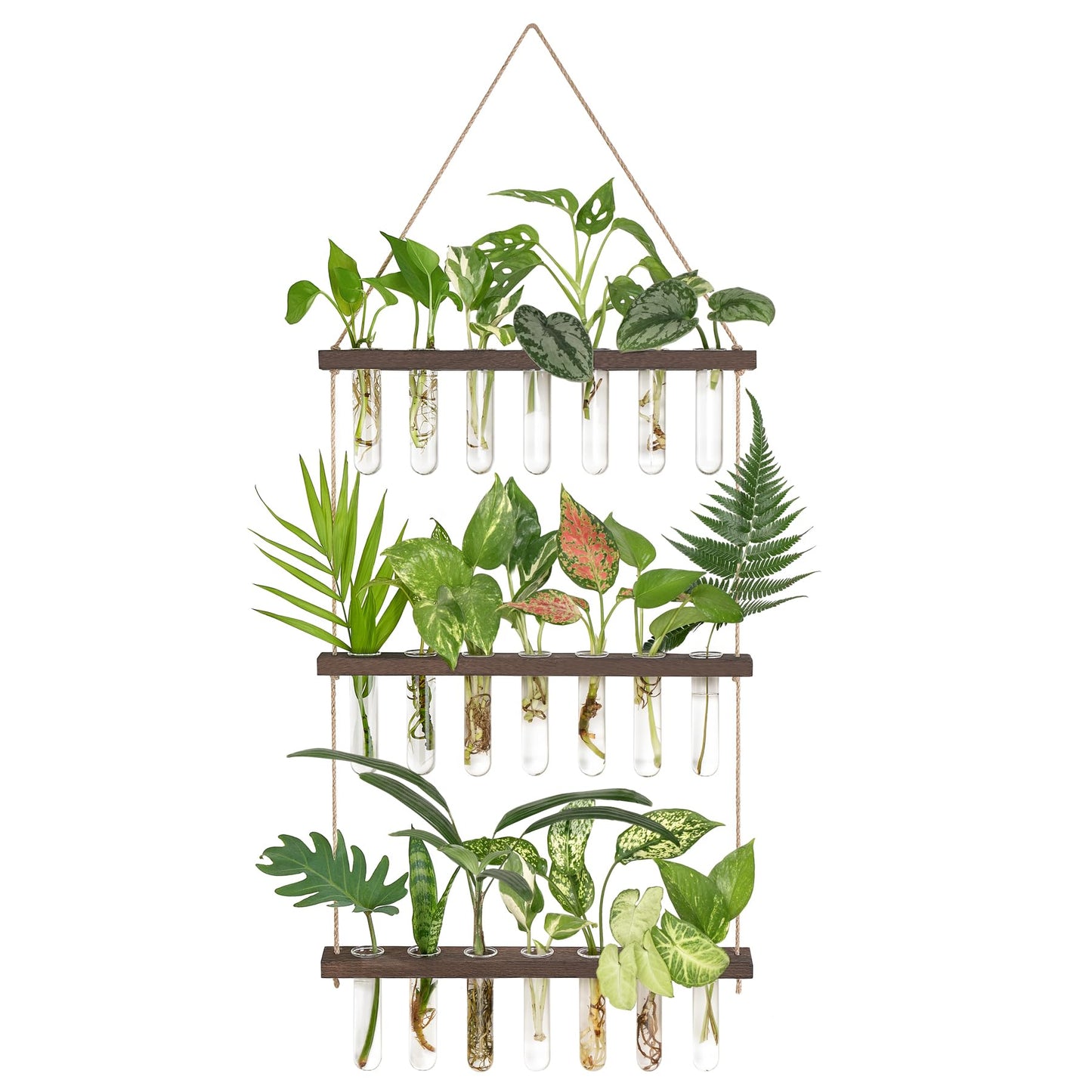 Wall Hanging Plant Propagation Station