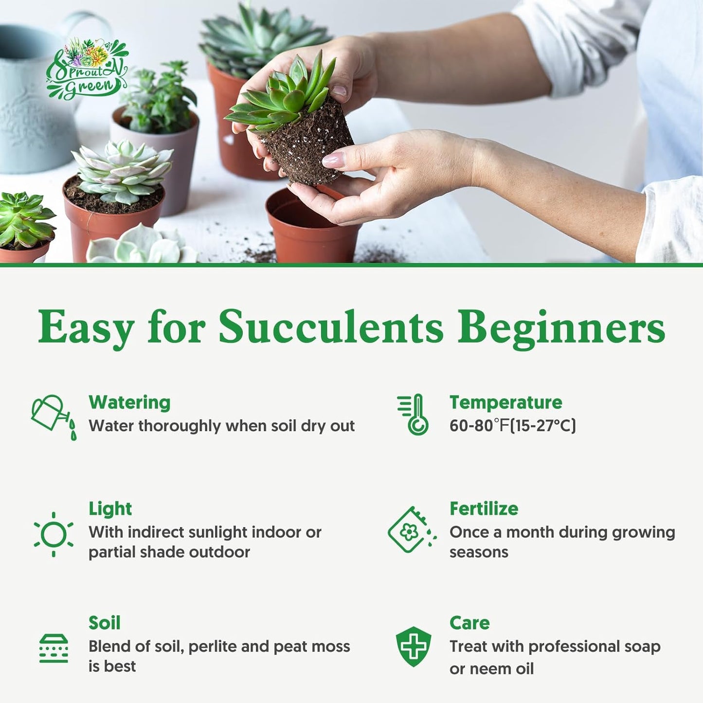 Sprout N Green Echeveria Minima, 1 Live Mini Succulent Plant Fully Rooted in 2 inch Starter Pot, Real House Plant for Indoor Outdoor Home Office Wedding Decoration Party Favor
