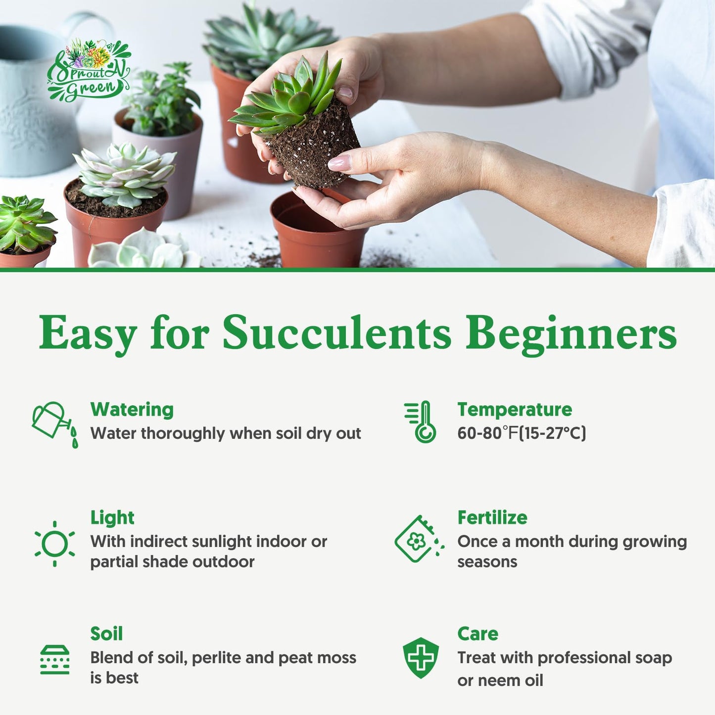 Sprout N Green Echeveria Minima, 1 Live Mini Succulent Plant Fully Rooted in 2 inch Starter Pot, Real House Plant for Indoor Outdoor Home Office Wedding Decoration Party Favor