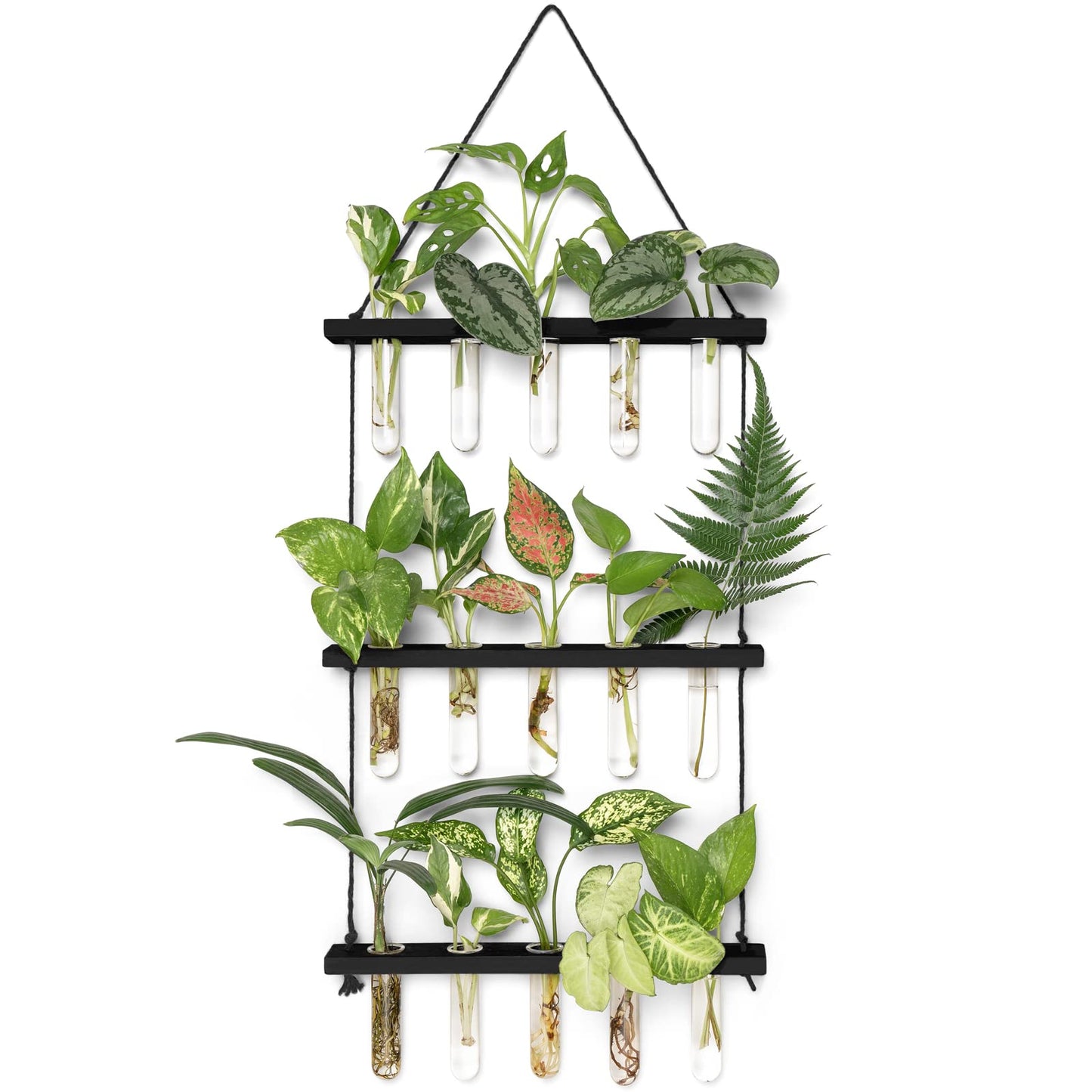 Wall Hanging Plant Propagation Station