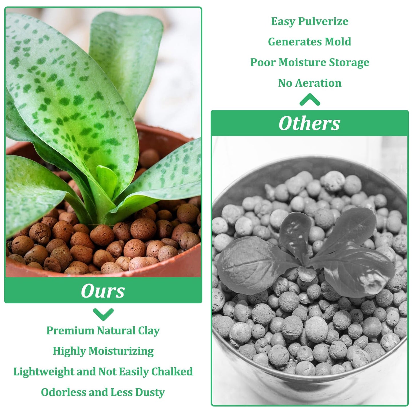 Organic Expanded Clay Pebbles for Plants | Leca