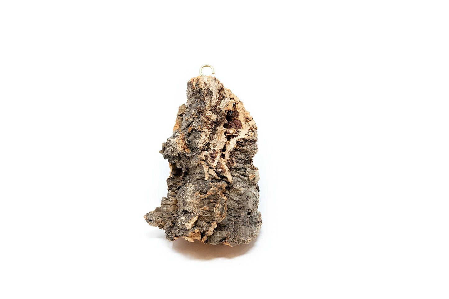 DIY Natural Cork Bark with Air Plants Kit