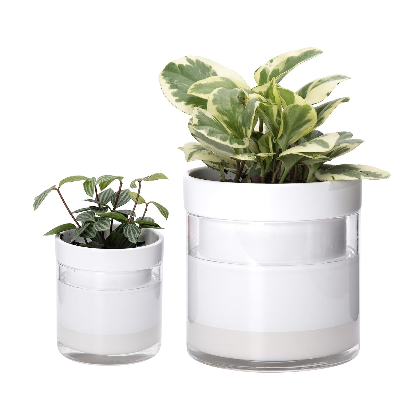 Self Watering Planter Pot Terracotta and Glass