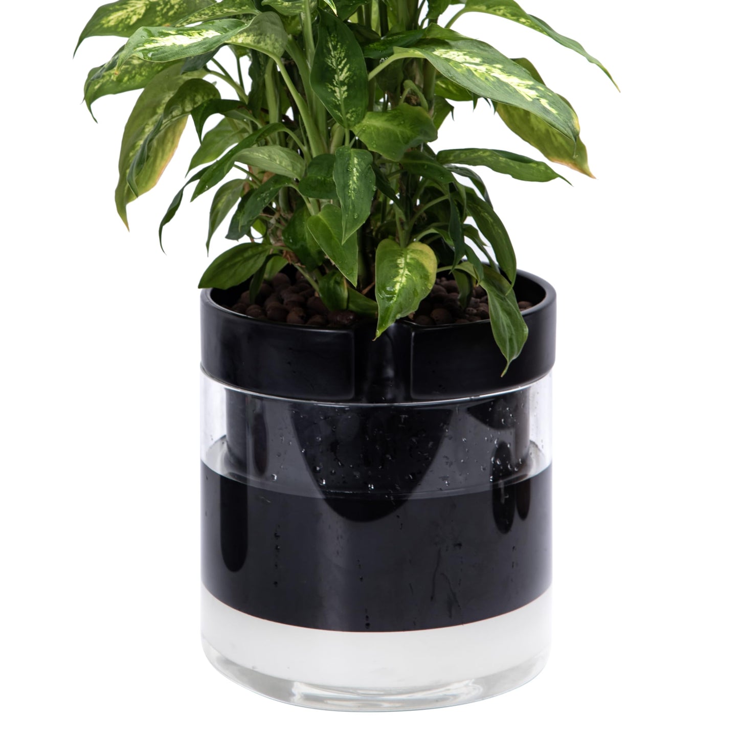 Self Watering Planter Pot Terracotta and Glass