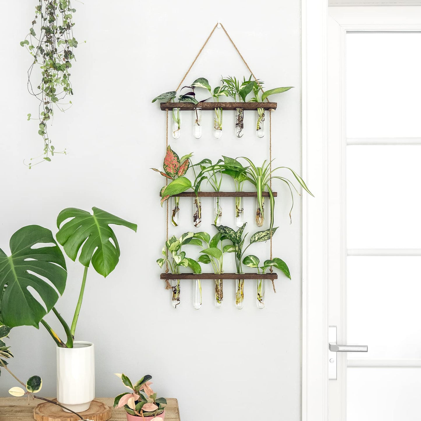 Wall Hanging Plant Propagation Station