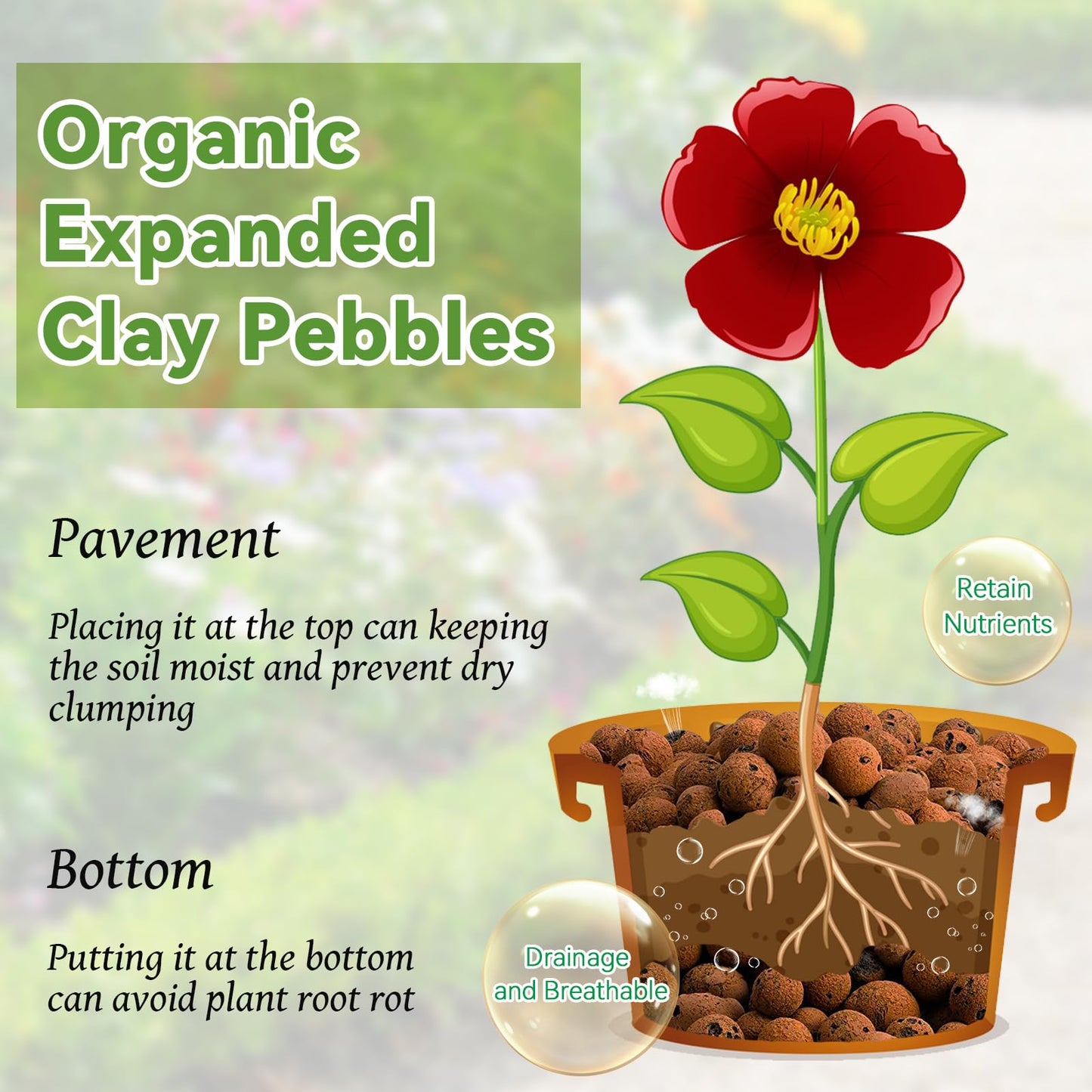 Organic Expanded Clay Pebbles for Plants | Leca