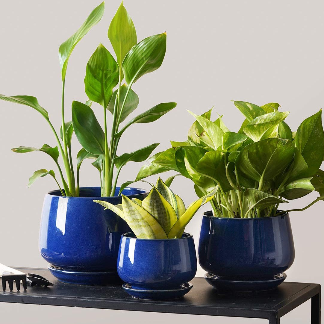 Ceramic Planter Set