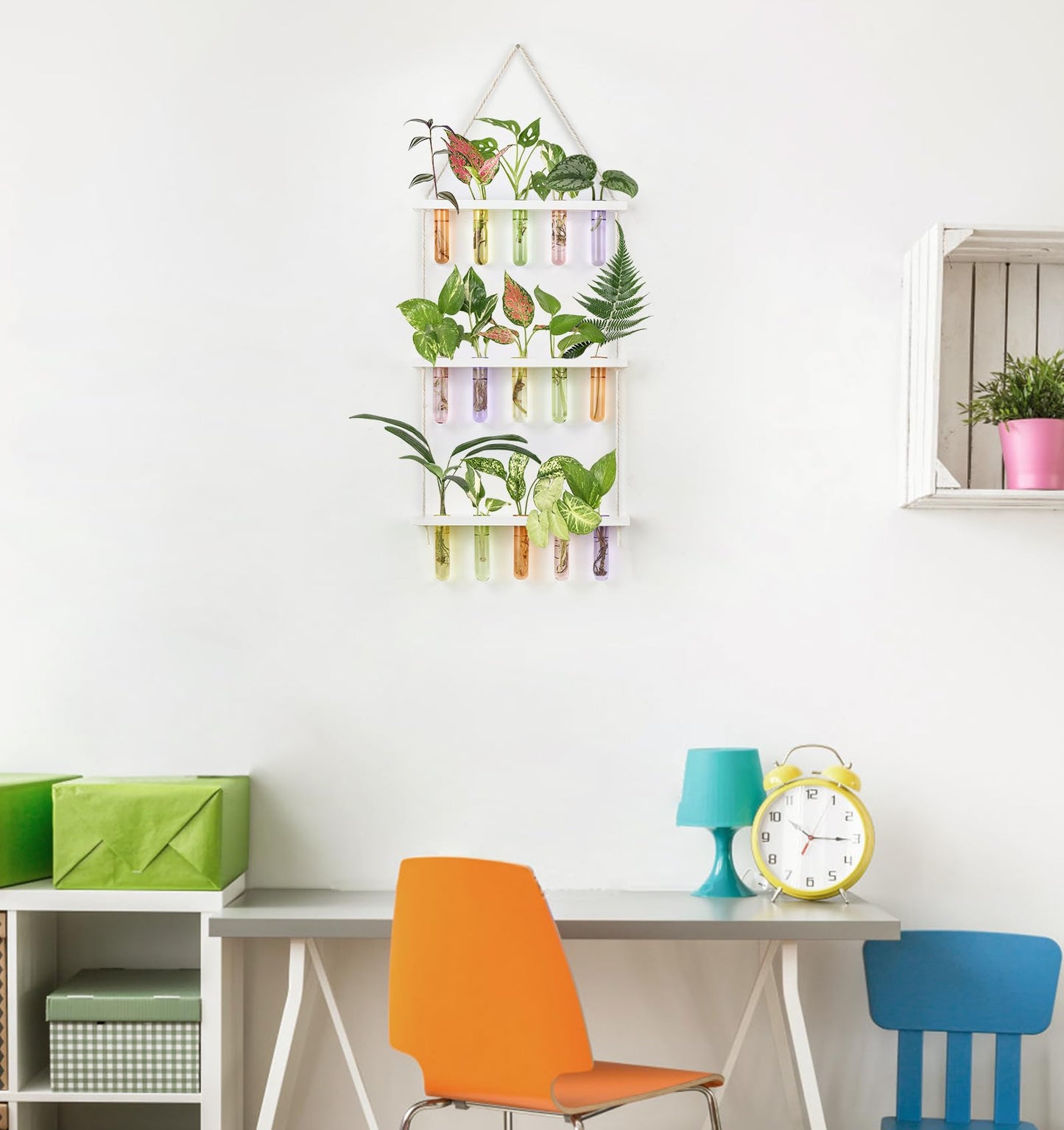 Wall Hanging Plant Propagation Station