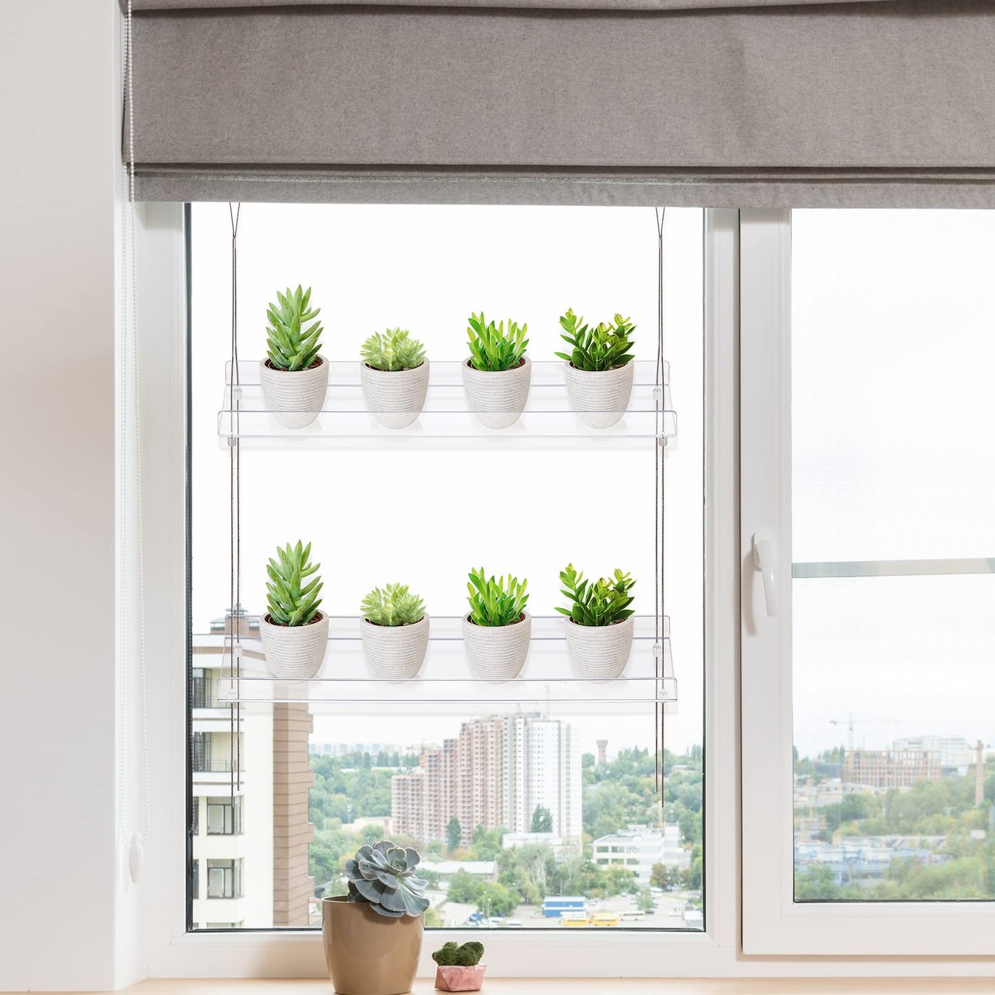 Acrylic Window Shelves