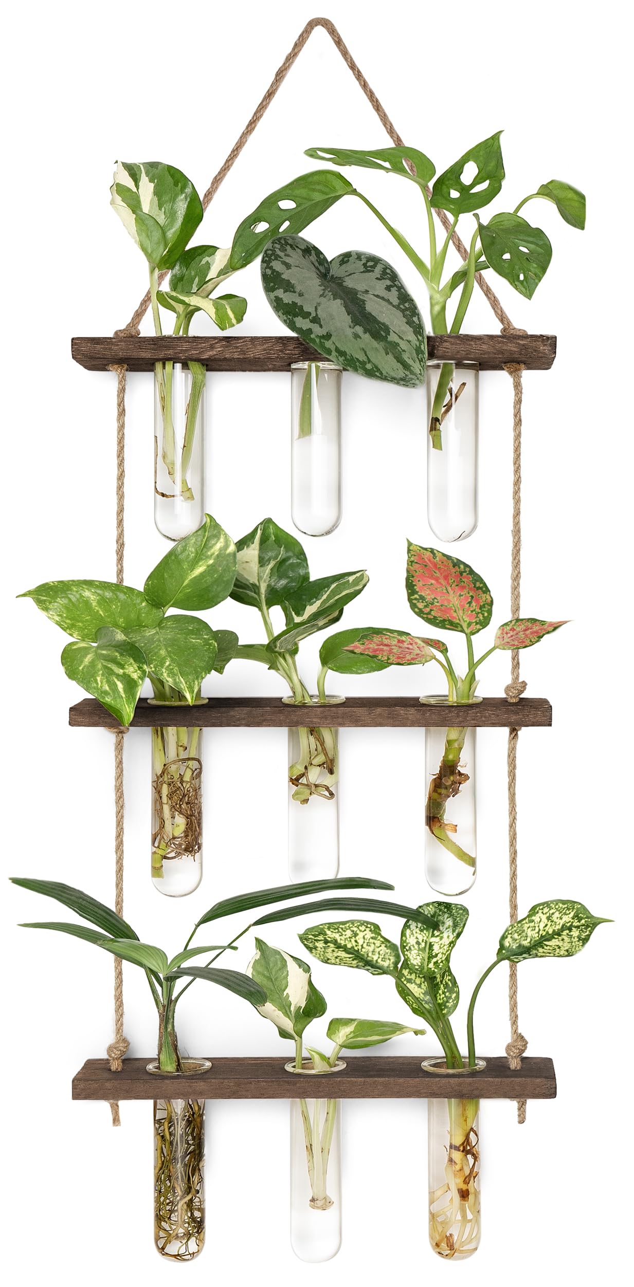 Wall Hanging Plant Propagation Station