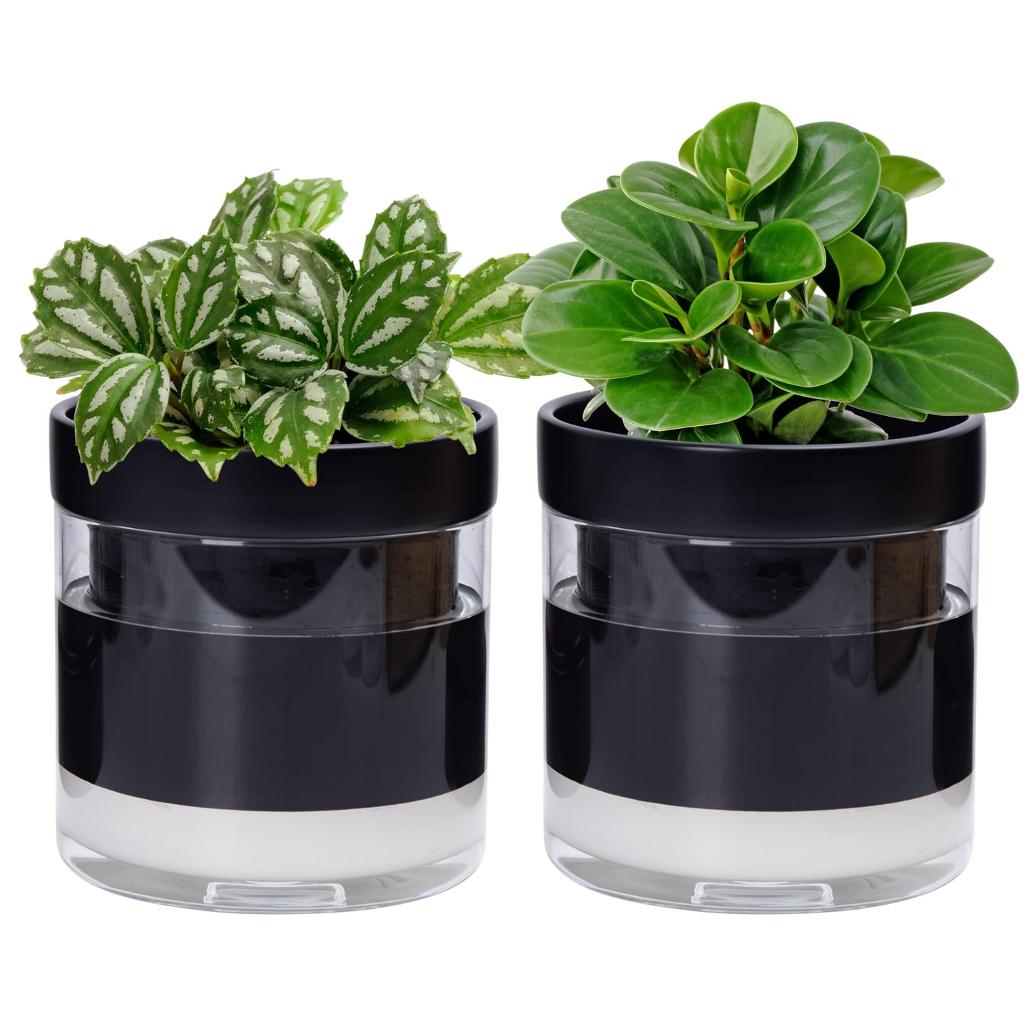 Self Watering Planter Pot Terracotta and Glass